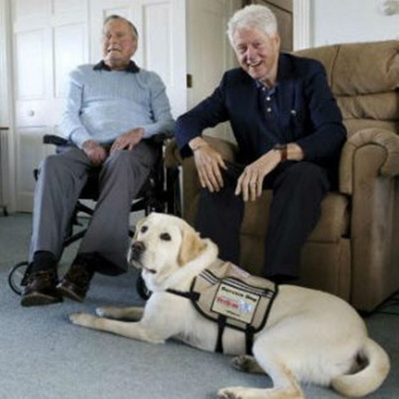 Бывший президент Буш приветствует новую служебную собаку в Kennebunkport Compound